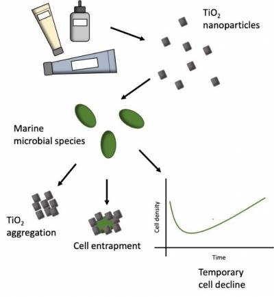 Chemistry & the Environment Nanomaterials