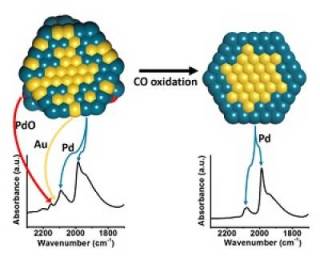 The restructuring of AuPd nanoparticles during CO oxidation followed by combined XAFS/DRIFTS.