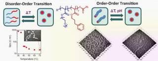 nthesis of block copolymer nanoparticles with interesting stimulus-triggered ‘shape-shifting’ properties for biomedical applications
