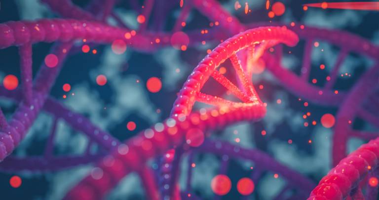 Whole genome sequencing improves diagnosis of rare diseases and shortens diagnostic journeys for patients, according to world first study