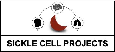 click here for Sickle Cell projects