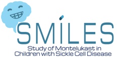 SMILES Logo