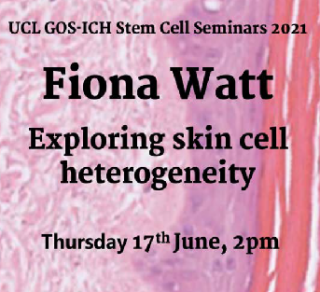 poster of Fiona Watt talk