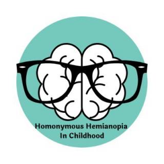 Homonymous Hemianopia HH Sian Handley Eyes and Vision Research