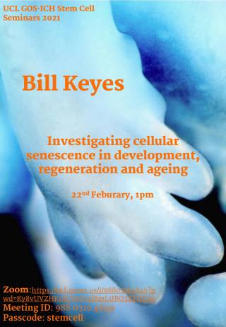 Bill Keyes Talk Poster