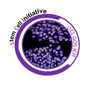 Stem Cell SI logo