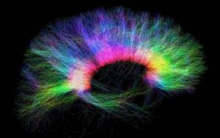 tractography