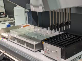 microarray processing at UCLG