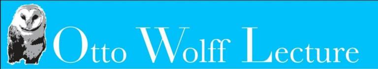 Otto Wolff Logo