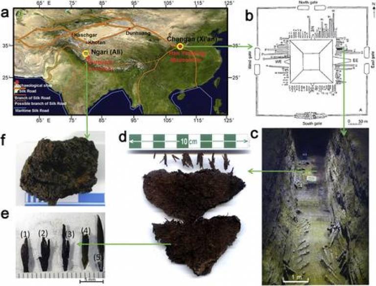world's oldest tea discovered in China