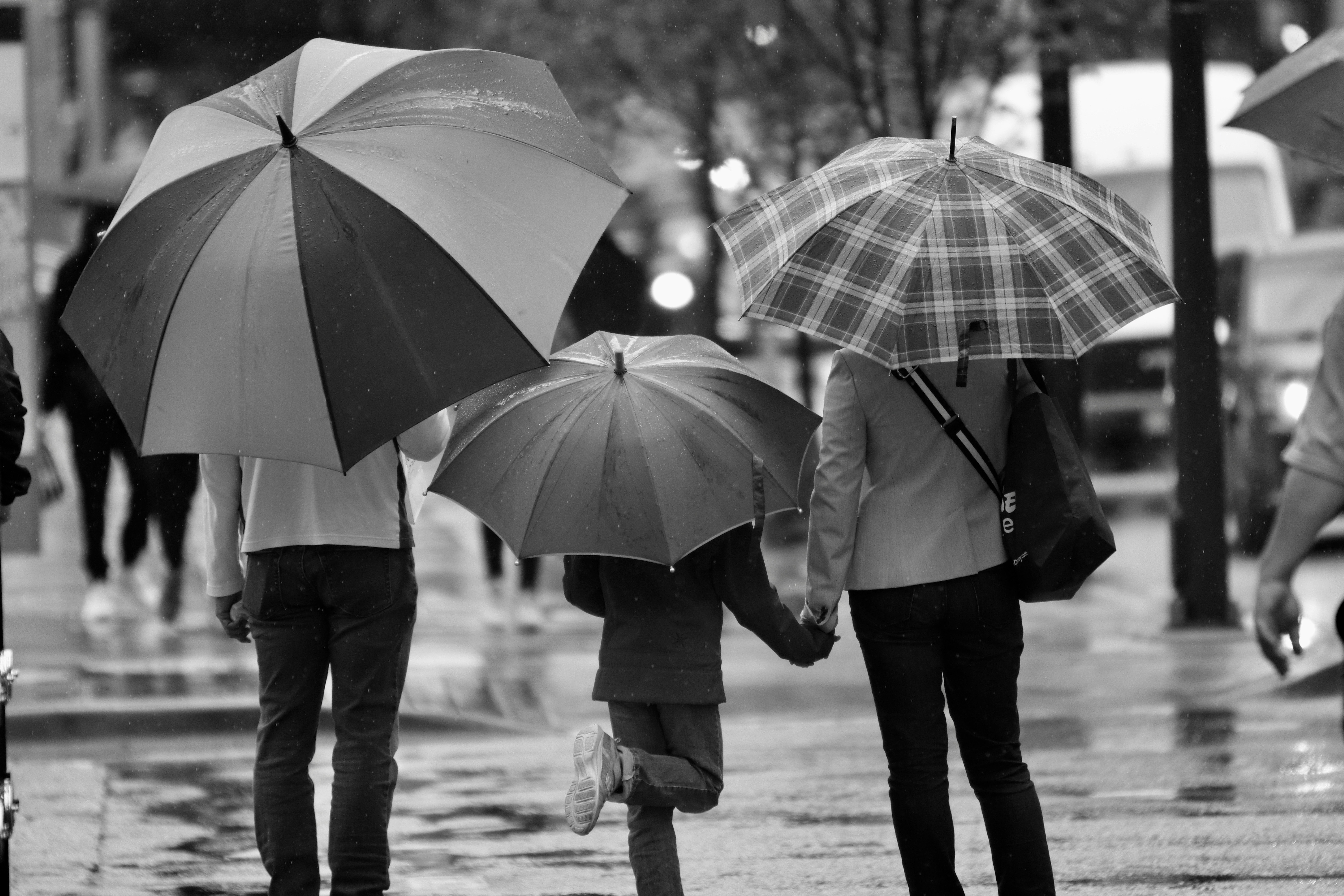 A family - parents and child - with umbrellas in a black and white picture. 
