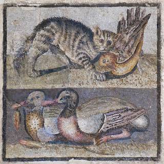 Roman mosaic I BC cat ducks
