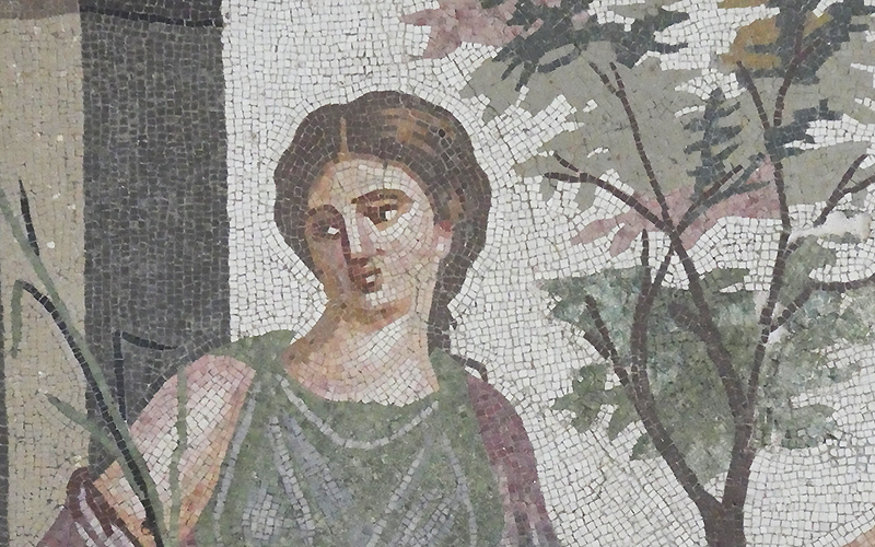 Algeria Lambaesis mosaic - woman