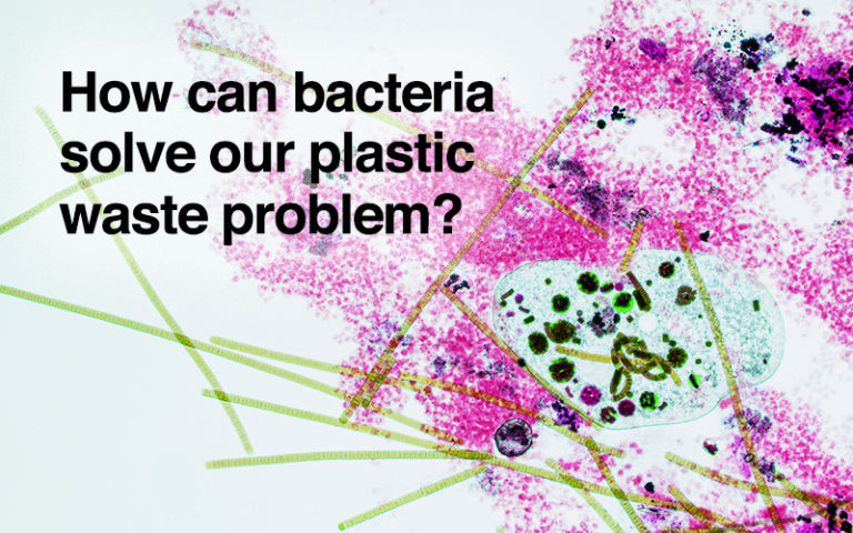 How can bacteria solve our plastic waste problem?