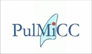 PulMiCC logo
