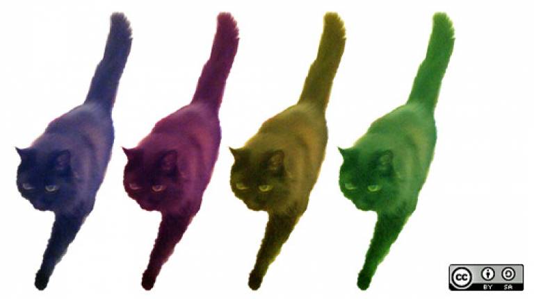 4 cats in different colours