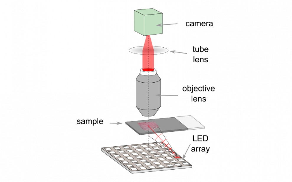 Schematic digrame showing a typical FPM setup. An LED array is used to illuminate the sample at a series of different angles.