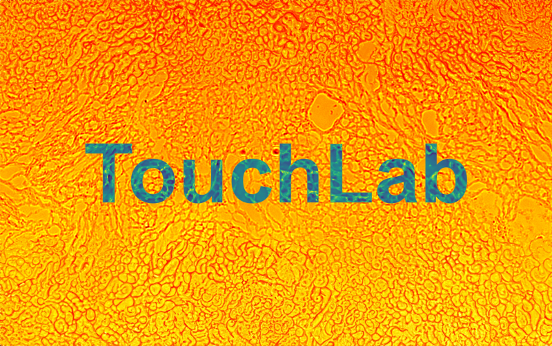 Touchlab logo