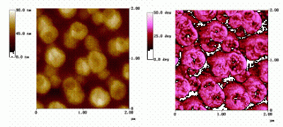 Atomic force microscope images