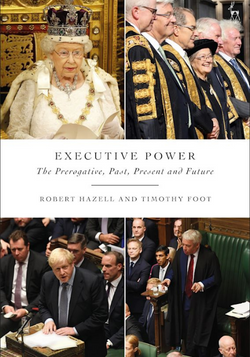 Executive Power book cover