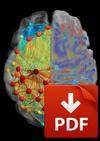 Cognitive neuroscience-brochure
