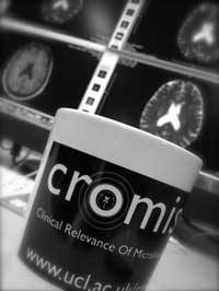 Cromis mug