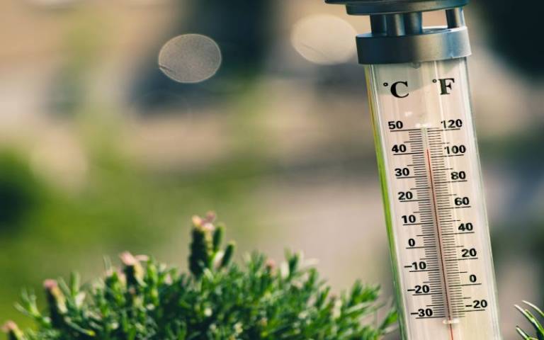 Thermometer in front of grass