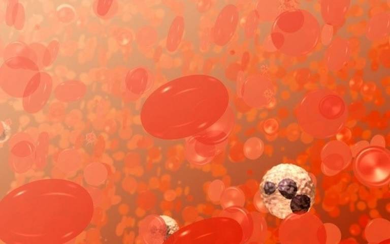 Illustration of red blood cells.