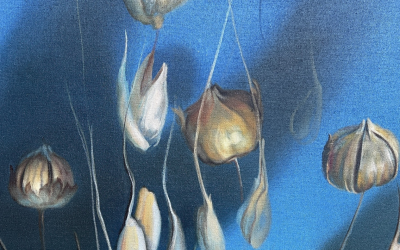 painted image, blue background, gradient colour like water. in front are natural shapes that looks like seed pods floating in the water.