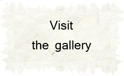 Visit the gallery