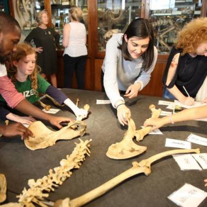 Explore Zoology at the Grant Museum