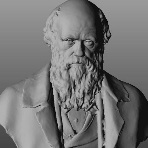 3d printed data of darwin bust