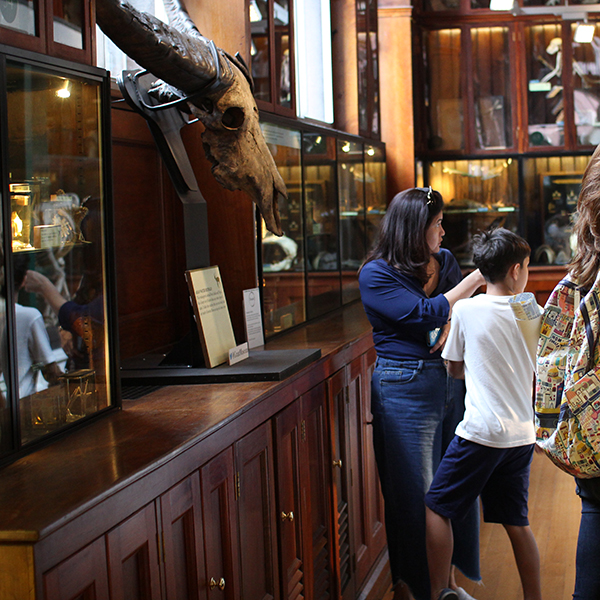 Family visitors at the Grant Museum