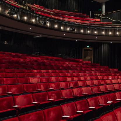 Colour photo of the seats in the Bloomsbury Theatre's main auditorium