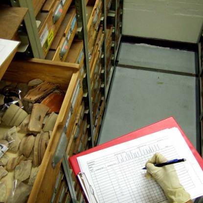 Collections in a drawer being examined