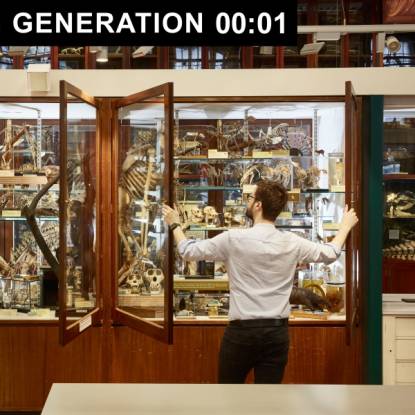 A person looks at an case full of skeletons and zoological specimens