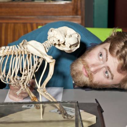 Curious student examining an animal skeleton
