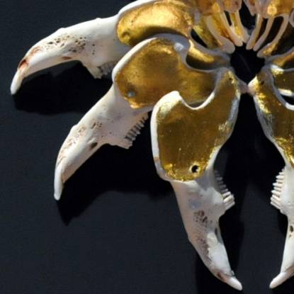 gilded mouse skeletons