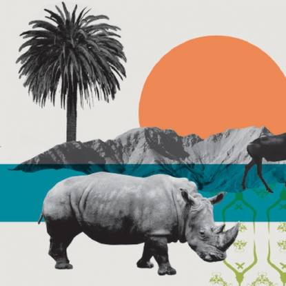 Colour illustration with orange and green shapes, plus black and white photos of a rhino, butterfly and a palm tree