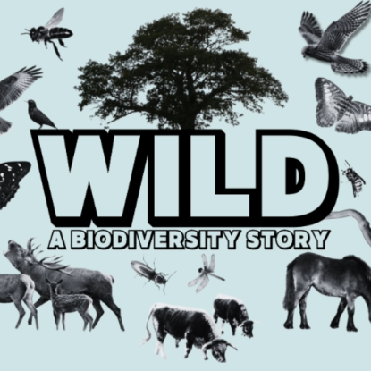 Graphic with large text reading 'WILD a biodiversity story' in the centre on a blue background with images of black and white animals surrounding it