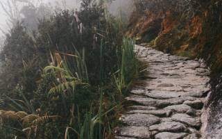 stone path leading into the mist