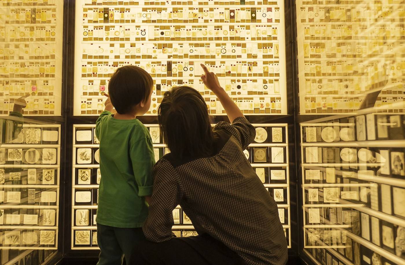 A woman crouches down next to a toddler in front of a wall of backlit microscope slides
