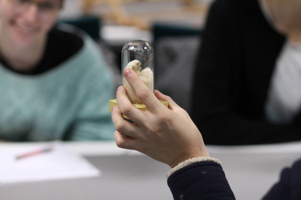 Student holding a small object up in a glass jar during teaching session