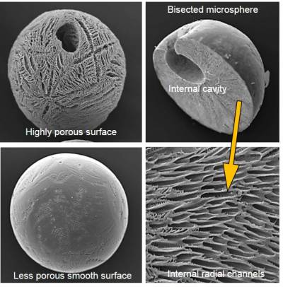 Internal and external features of TIPS microspheres