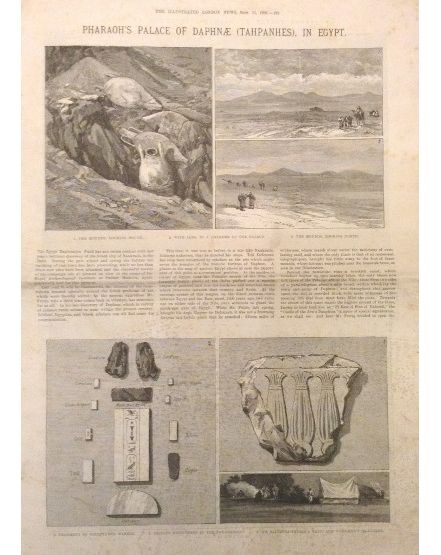 Page from the Illustrated London News, September 1886. From the Petrie Museum archive.
