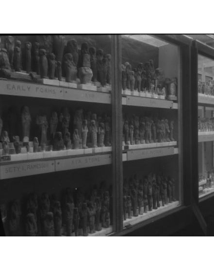 Photograph of the shabti display in the museum in 1915. From the Petrie Museum archive.