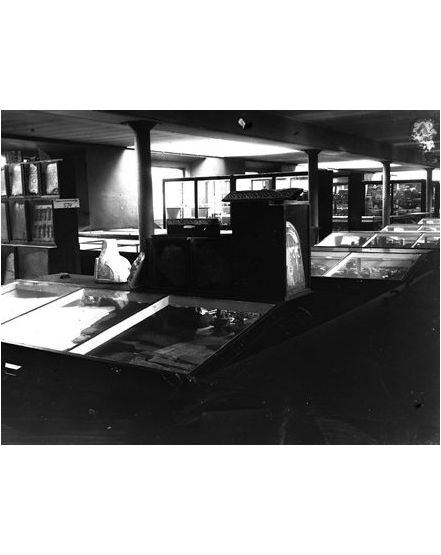 Display cases in the museum. Photo from the Petrie Museum archive.
