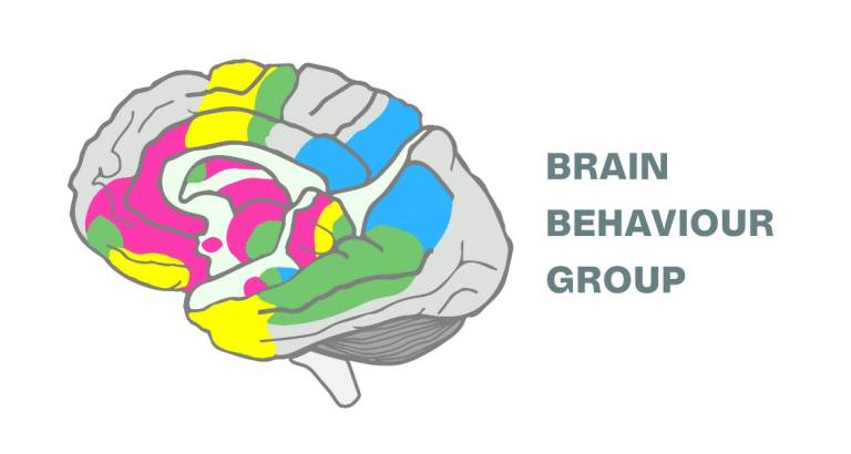 Logo for the Brain Behavior Group at UCL Dementia Research Centre.