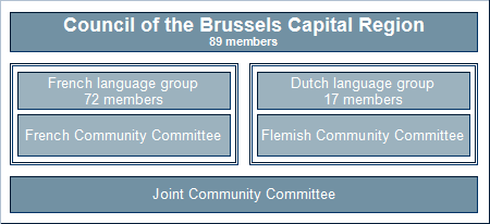 Raad van het Brussels Hoofdstedelijk Gewest