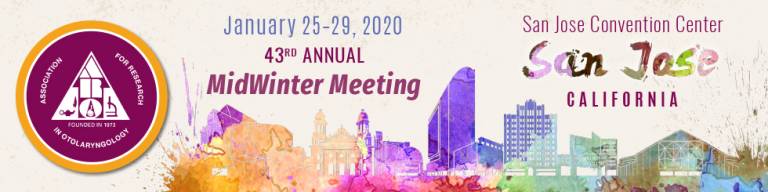 ARO 2020 Mid Winter Meeting logo